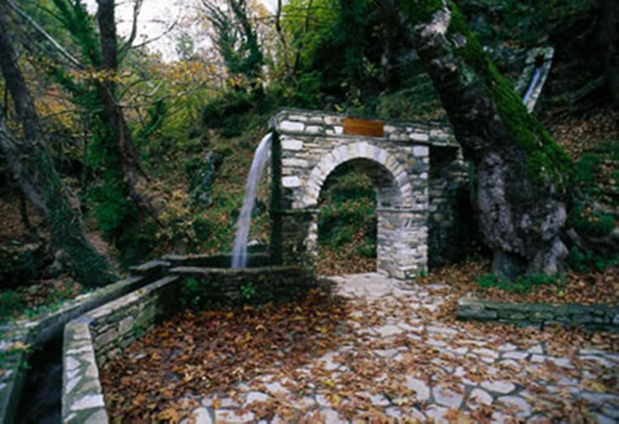 Hotel Pelion Resort بورتاريا المظهر الخارجي الصورة